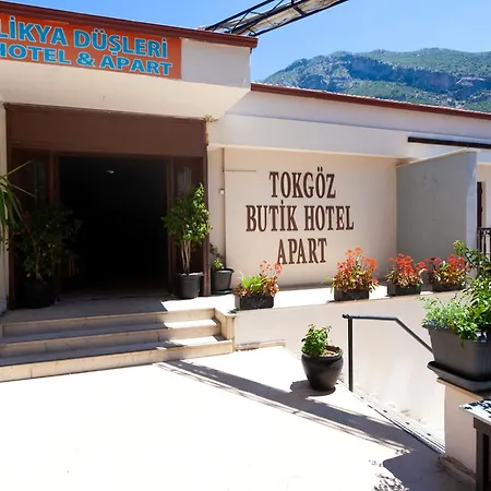 Tokgoz Butik Hotel&apartment 3* 올루데니스