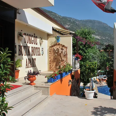 Tokgoz Butik Hotel&apartment 올루데니스