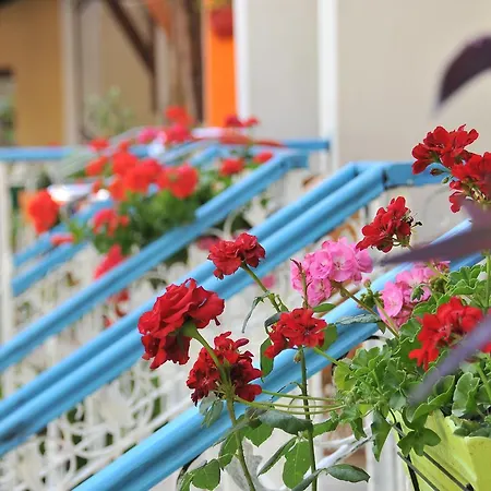 Tokgoz Butik Hotel&apartment Олудениз