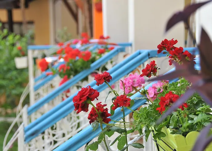 Tokgoz Butik Hotel&apartment Ολουντενίζ